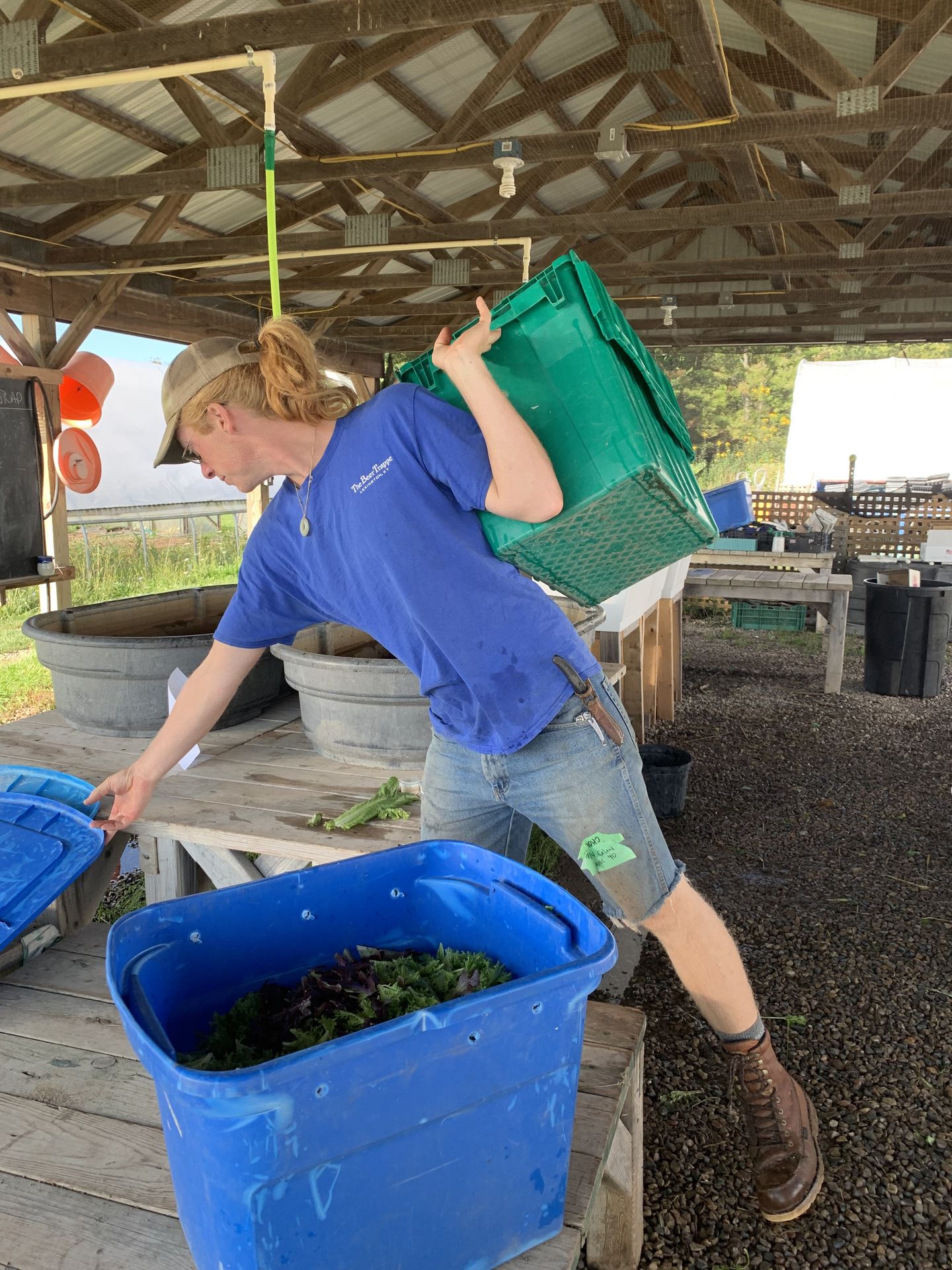 daniel robert seggebruch